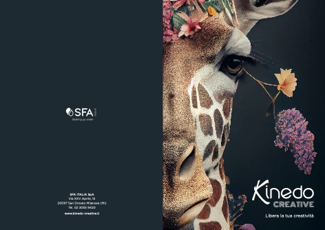 Kinedo - Catalogo Creative